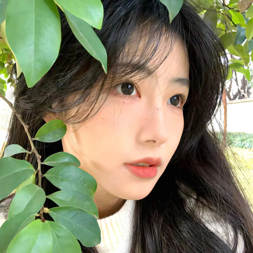 有些夜晚我想散步