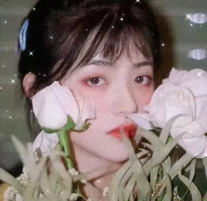 小姨多鹤